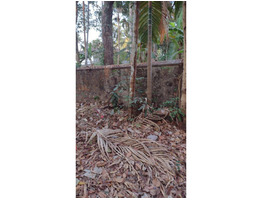 45 CENTS LAND SALE AT This plot is 45 Cents in Chirakkal, near Gayathri Bus Stop,THRISSUR.