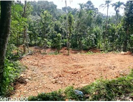 21 cents residential land for sale near Pala town in Kottayam district