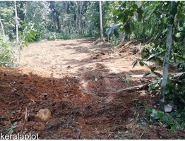 21 cents residential land for sale near Pala town in Kottayam district