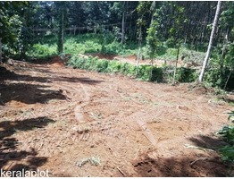 21 cents residential land for sale near Pala town in Kottayam district