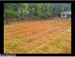 10 Cent residential land near Perumbavoor