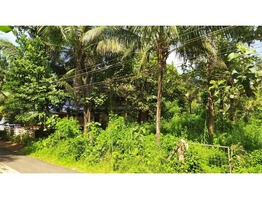 25 cents of prime residential plot for sale having tarred roads on two sides.