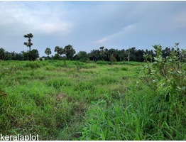 Residential Plot at Kanjicode East