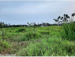 Residential Plot at Kanjicode East