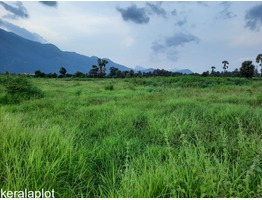 Residential Plot at Kanjicode East