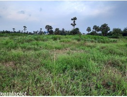 Residential Plot at Kanjicode East