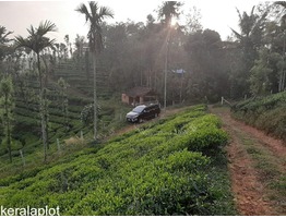 3 Acres Land For Sale In Mananthavady . Perfect Land For Resort.