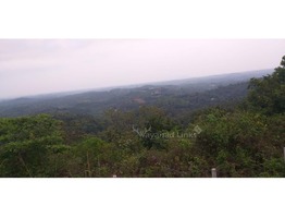 3 Acres Land For Sale In Mananthavady . Perfect Land For Resort.