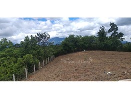 3 Acres Land For Sale In Mananthavady . Perfect Land For Resort.