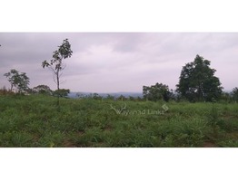 3 Acres Land For Sale In Mananthavady . Perfect Land For Resort.