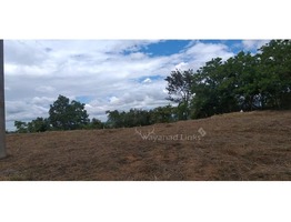 3 Acres Land For Sale In Mananthavady . Perfect Land For Resort.