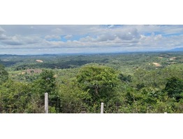 3 Acres Land For Sale In Mananthavady . Perfect Land For Resort.