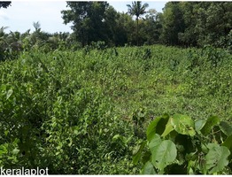 30CENTS LAND AT THIPPALASSERY