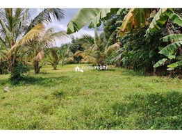 Farm Purpose land Available in Wayanad……