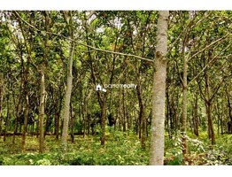 Farm Purpose land Available in Wayanad……