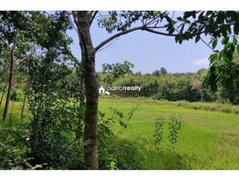 Farm Purpose land Available in Wayanad……