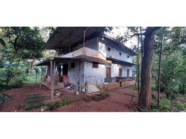 Kerala Traditional Home With Land For Sale Near Meppayur Town Perambra Kerala Real Estate Classified For Buy Sell Or Rent Properties In Kerala