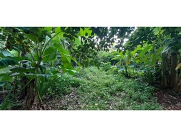 32 cents Land with traditional house at Trissur (Urakam)