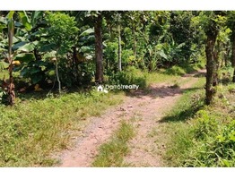 1 acre Agriculture land for sale near Pulpally @ 20 lakhs…..