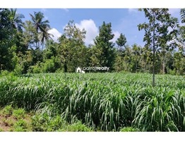 1 acre Agriculture land for sale near Pulpally @ 20 lakhs…..