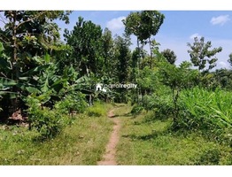 1 acre Agriculture land for sale near Pulpally @ 20 lakhs…..