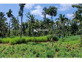 1 acre Agriculture land for sale near Pulpally @ 20 lakhs…..