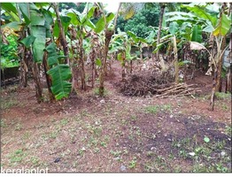 8 Cent Plot for Sale - 30 Lakh only , Location - Wadakkanchery,Thrissur