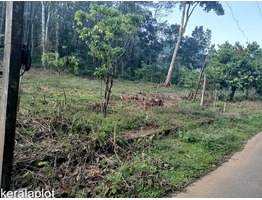 1 Acre for sale (with or without plots) P.P Road Pala