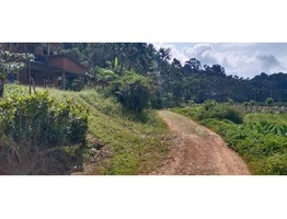 25 cents land and 2850 sq ft house for sale in Kunhom, Mananthavady.