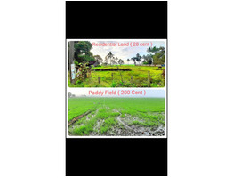 28 cent  residential land sale at Haripad ,Alappuzha