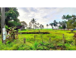 28 cent  residential land sale at Haripad ,Alappuzha