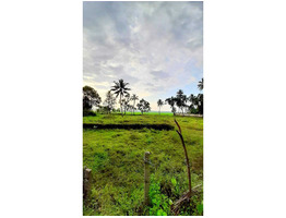 28 cent  residential land sale at Haripad ,Alappuzha