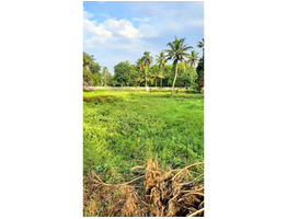 28 cent  residential land sale at Haripad ,Alappuzha