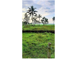 28 cent  residential land sale at Haripad ,Alappuzha