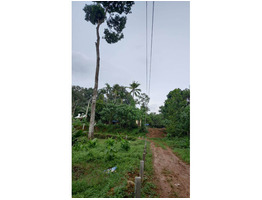 33.25 cent  land  sale at njeezhoor,Kottayam