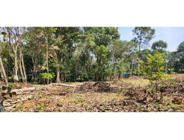 33.25 cent  land  sale at njeezhoor,Kottayam