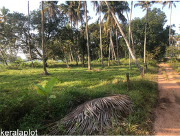 2 Acre land for sale at Kodugallor, thrissur