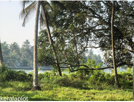 2 Acre land for sale at Kodugallor, thrissur