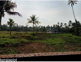 4.5 Acres Land for rent near paravoor