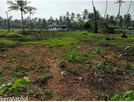 4.5 Acres Land for rent near paravoor