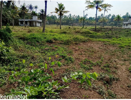 4.5 Acres Land for rent near paravoor