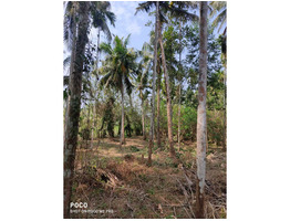 75 cent land for sale at Puthanchira panchayath