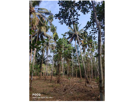 75 cent land for sale at Puthanchira panchayath