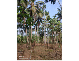 75 cent land for sale at Puthanchira panchayath