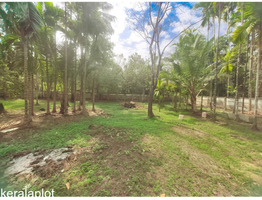 21 cent land for sale at koonamavu, Ernakulam