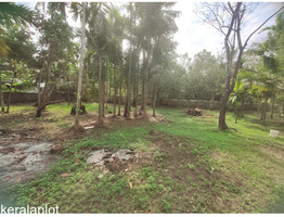 21 cent land for sale at koonamavu, Ernakulam