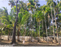 21 cent land for sale at koonamavu, Ernakulam