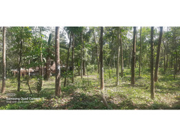 1.25 acer land for sale at pala, kottayam