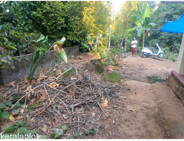 15 cent residential plot sale at Angamaly, Eranakulam