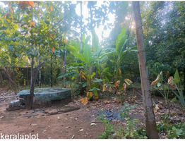 15 cent residential plot sale at Angamaly, Eranakulam